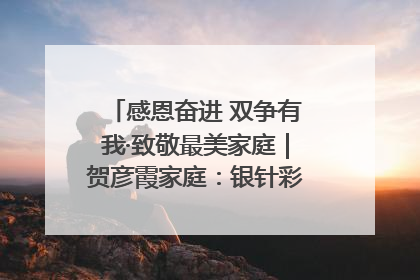 感恩奋进 双争有我·致敬最美家庭｜贺彦霞家庭：银针彩线绣出好日子