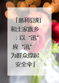 慈利县阳和土家族乡：以“迅”应“汛” 为群众撑起安全伞