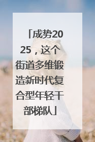 成势2025，这个街道多维锻造新时代复合型年轻干部梯队