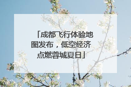 成都飞行体验地图发布，低空经济点燃蓉城夏日