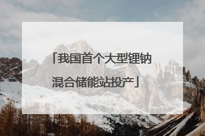 我国首个大型锂钠混合储能站投产