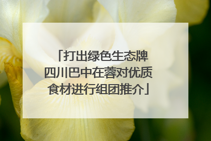 打出绿色生态牌 四川巴中在蓉对优质食材进行组团推介