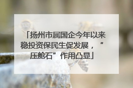 扬州市属国企今年以来稳投资保民生促发展，“压舱石”作用凸显