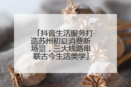 抖音生活服务打造苏州初夏消费新场景，三大线路串联古今生活美学