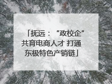 抚远：“政校企”共育电商人才 打通东极特色产销链