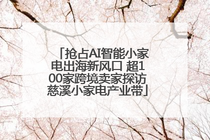 抢占AI智能小家电出海新风口 超100家跨境卖家探访慈溪小家电产业带