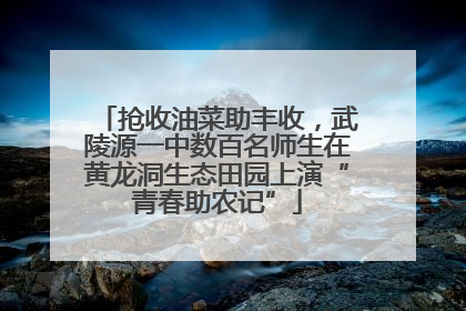 抢收油菜助丰收，武陵源一中数百名师生在黄龙洞生态田园上演“青春助农记”