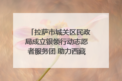 拉萨市城关区民政局成立银领行动志愿者服务团 助力西藏银发经济发展