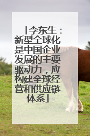 李东生：新型全球化是中国企业发展的主要驱动力，应构建全球经营和供应链体系