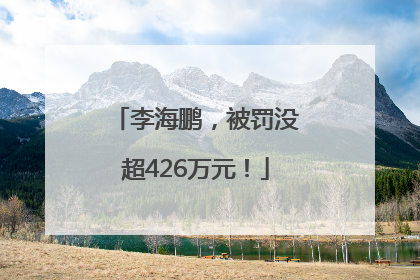 李海鹏，被罚没超426万元！
