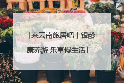 来云南旅居吧丨银龄康养游 乐享慢生活