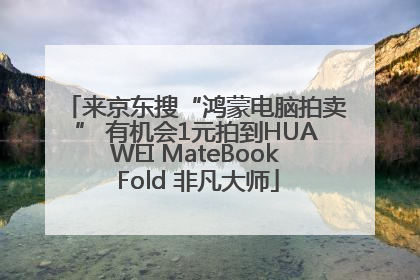 来京东搜“鸿蒙电脑拍卖” 有机会1元拍到HUAWEI MateBook Fold 非凡大师