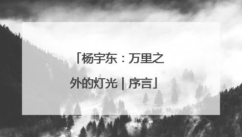杨宇东：万里之外的灯光｜序言