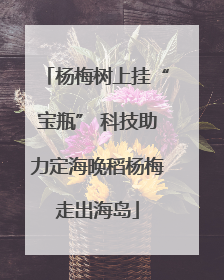 杨梅树上挂“宝瓶” 科技助力定海晚稻杨梅走出海岛