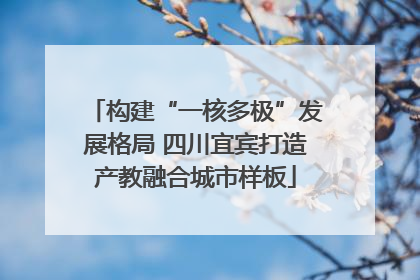 构建“一核多极”发展格局 四川宜宾打造产教融合城市样板