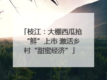 枝江：大棚西瓜抢“鲜”上市 激活乡村“甜蜜经济”