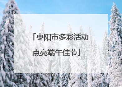 枣阳市多彩活动点亮端午佳节