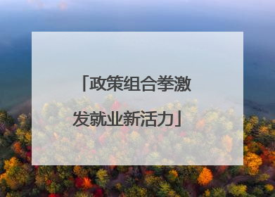 政策组合拳激发就业新活力