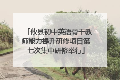 攸县初中英语骨干教师能力提升研修项目第七次集中研修举行