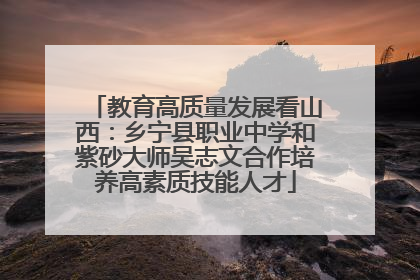 教育高质量发展看山西：乡宁县职业中学和紫砂大师吴志文合作培养高素质技能人才