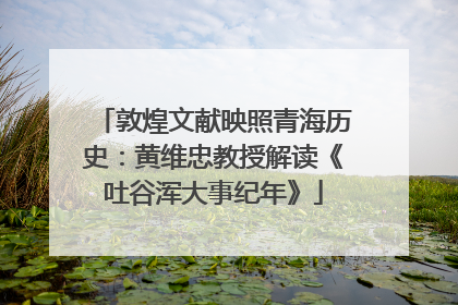 敦煌文献映照青海历史：黄维忠教授解读《吐谷浑大事纪年》