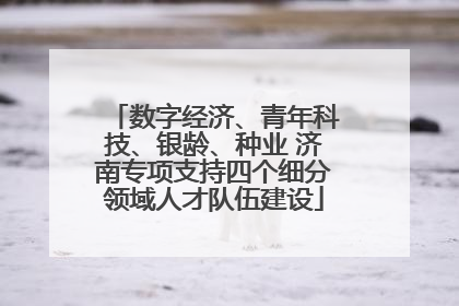 数字经济、青年科技、银龄、种业 济南专项支持四个细分领域人才队伍建设