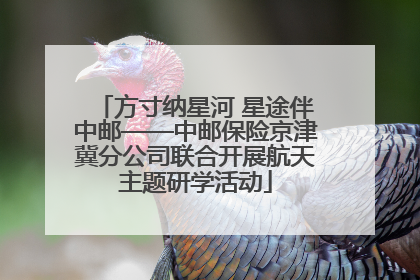 方寸纳星河 星途伴中邮——中邮保险京津冀分公司联合开展航天主题研学活动