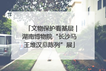 文物保护看基层｜湖南博物院“长沙马王堆汉墓陈列”展