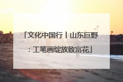 文化中国行丨山东巨野：工笔画绽放致富花