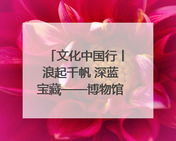 文化中国行丨浪起千帆 深蓝宝藏——博物馆里的海丝遗珍