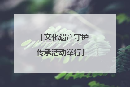 文化遗产守护传承活动举行