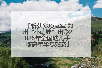 斩获多项冠军 郑州“小萌娃”出彩2025年全国幼儿手球嘉年华总站赛