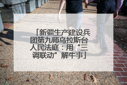 新疆生产建设兵团第九师乌拉斯台人民法庭：用“三调联动”解牛事