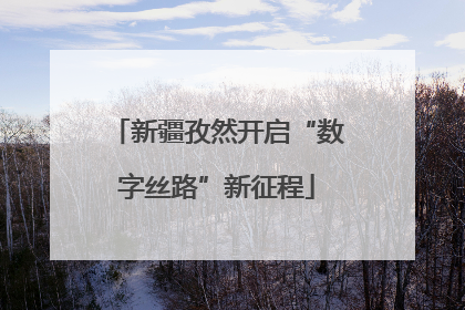 新疆孜然开启“数字丝路”新征程