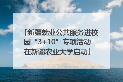新疆就业公共服务进校园“3+10”专项活动在新疆农业大学启动