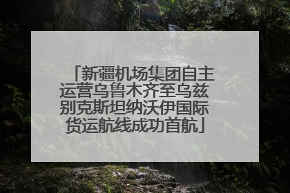 新疆机场集团自主运营乌鲁木齐至乌兹别克斯坦纳沃伊国际货运航线成功首航