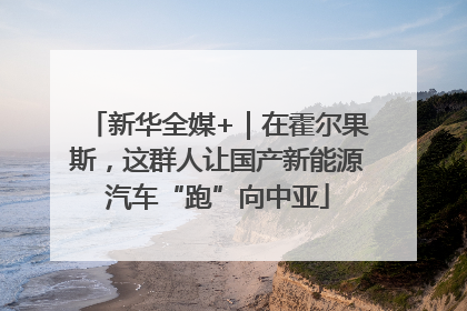 新华全媒+｜在霍尔果斯，这群人让国产新能源汽车“跑”向中亚
