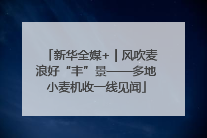 新华全媒+｜风吹麦浪好“丰”景——多地小麦机收一线见闻