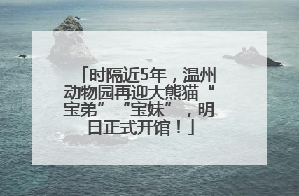 时隔近5年，温州动物园再迎大熊猫“宝弟”“宝妹”，明日正式开馆！
