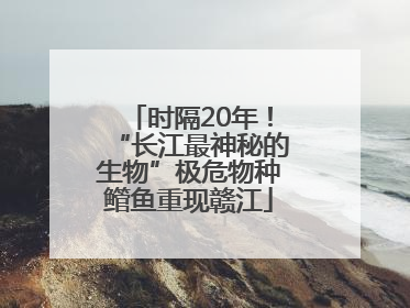 时隔20年！“长江最神秘的生物”极危物种鳤鱼重现赣江