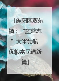 旌阳区双东镇：“旌益态”大米领航 优粮富民谱新篇