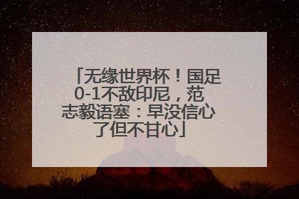 无缘世界杯！国足0-1不敌印尼，范志毅语塞：早没信心了但不甘心
