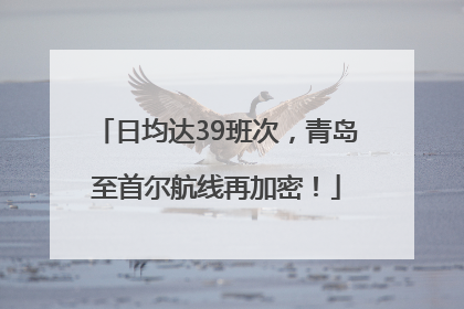 日均达39班次，青岛至首尔航线再加密！