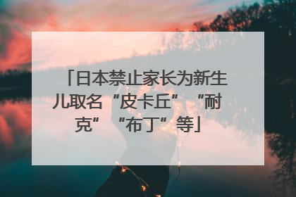 日本禁止家长为新生儿取名“皮卡丘”“耐克”“布丁”等