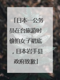 日本一公务员在台旅游时偷拍女子裙底，日本岩手县政府致歉