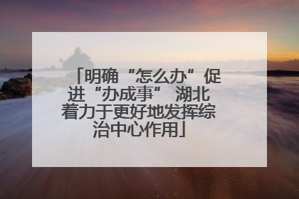 明确“怎么办”促进“办成事” 湖北着力于更好地发挥综治中心作用