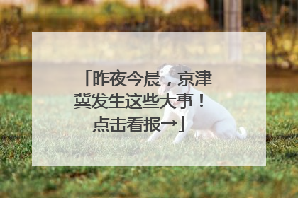 昨夜今晨，京津冀发生这些大事！点击看报→