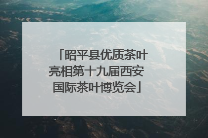 昭平县优质茶叶亮相第十九届西安国际茶叶博览会