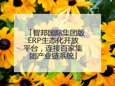 智邦国际集团版ERP生态化开放平台，连接百家集团产业链系统