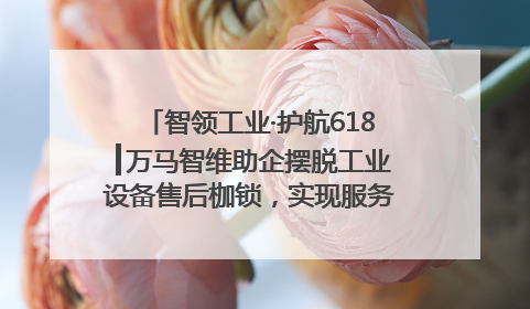 智领工业·护航618┃万马智维助企摆脱工业设备售后枷锁，实现服务与效能价值共振！
